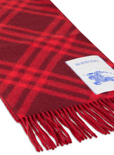 Load image into Gallery viewer, Plaid scarf with fringes
