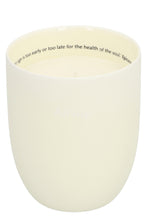 Carica l'immagine nel visualizzatore di Gallery, Candela aromatica Ptolemy, 300 g