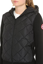 Load image into Gallery viewer, Hybridge knit jacket with padded panel