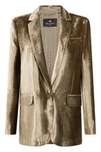 Load image into Gallery viewer, Velvet jacket