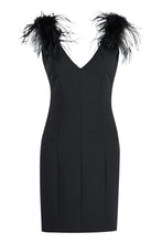 Load image into Gallery viewer, Pica feather dress
