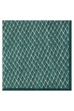 Load image into Gallery viewer, Silk scarf
