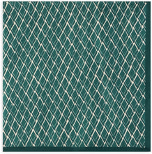 Load image into Gallery viewer, Silk scarf
