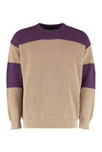 Carica l'immagine nel visualizzatore di Gallery, Sustainability Project - Pullover in maglia a costine
