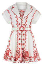 Load image into Gallery viewer, Lucky embroidered mini dress
