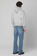 Load image into Gallery viewer, Logo cotton hoodie
