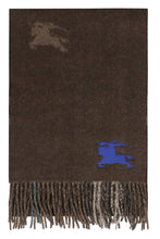 Load image into Gallery viewer, Cashmere scarf
