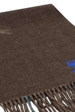 Load image into Gallery viewer, Cashmere scarf

