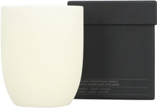 Carica l'immagine nel visualizzatore di Gallery, Candela aromatica Ptolemy, 300 g
