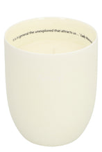 Carica l'immagine nel visualizzatore di Gallery, Candela aromatica Aganice, 300 g
