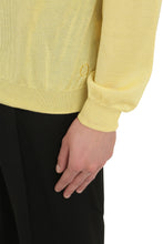 Carica l'immagine nel visualizzatore di Gallery, THE (Knit) - Pullover in cachemire e seta
