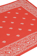 Load image into Gallery viewer, Printed viscose scarf
