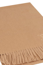 Carica l'immagine nel visualizzatore di Gallery, Sciarpa Wsdalia in cachemire
